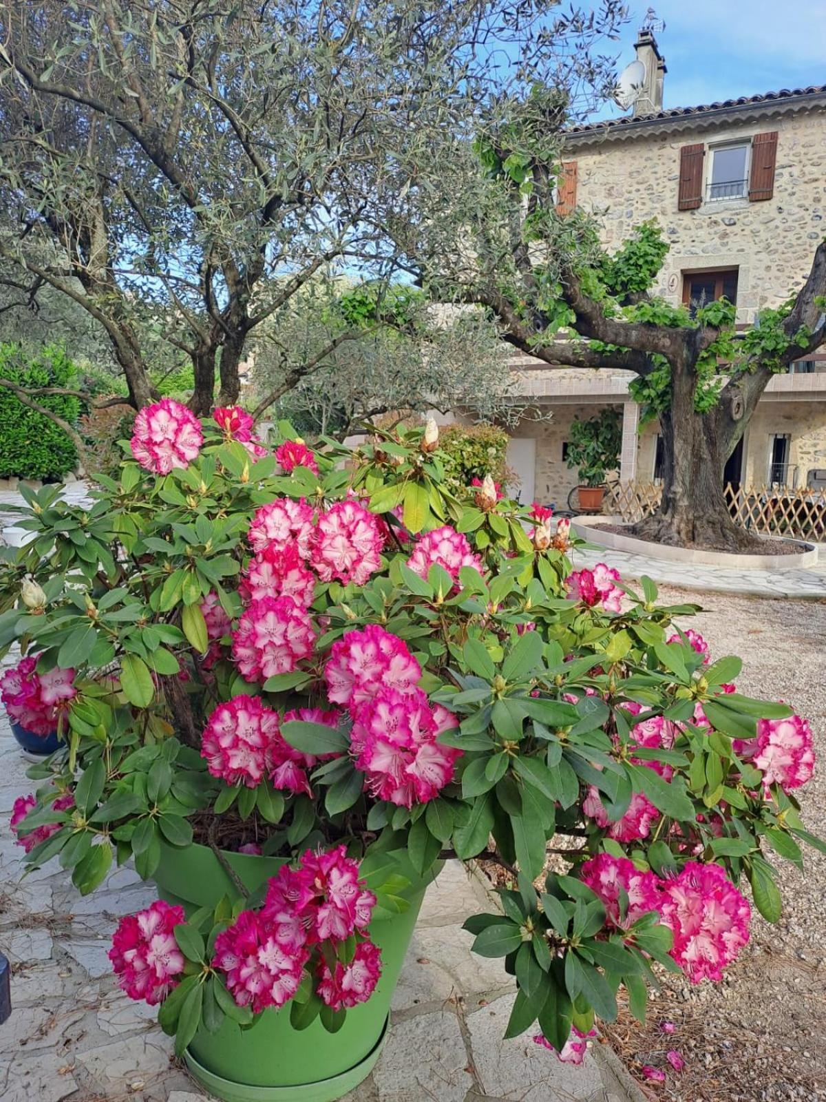 Gite 3 "Le Canal De Baza" Aux Magnolias Aubenas Exterior foto