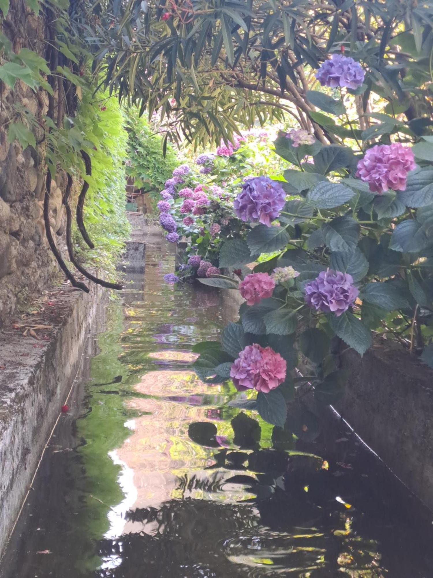 Gite 3 "Le Canal De Baza" Aux Magnolias Aubenas Exterior foto