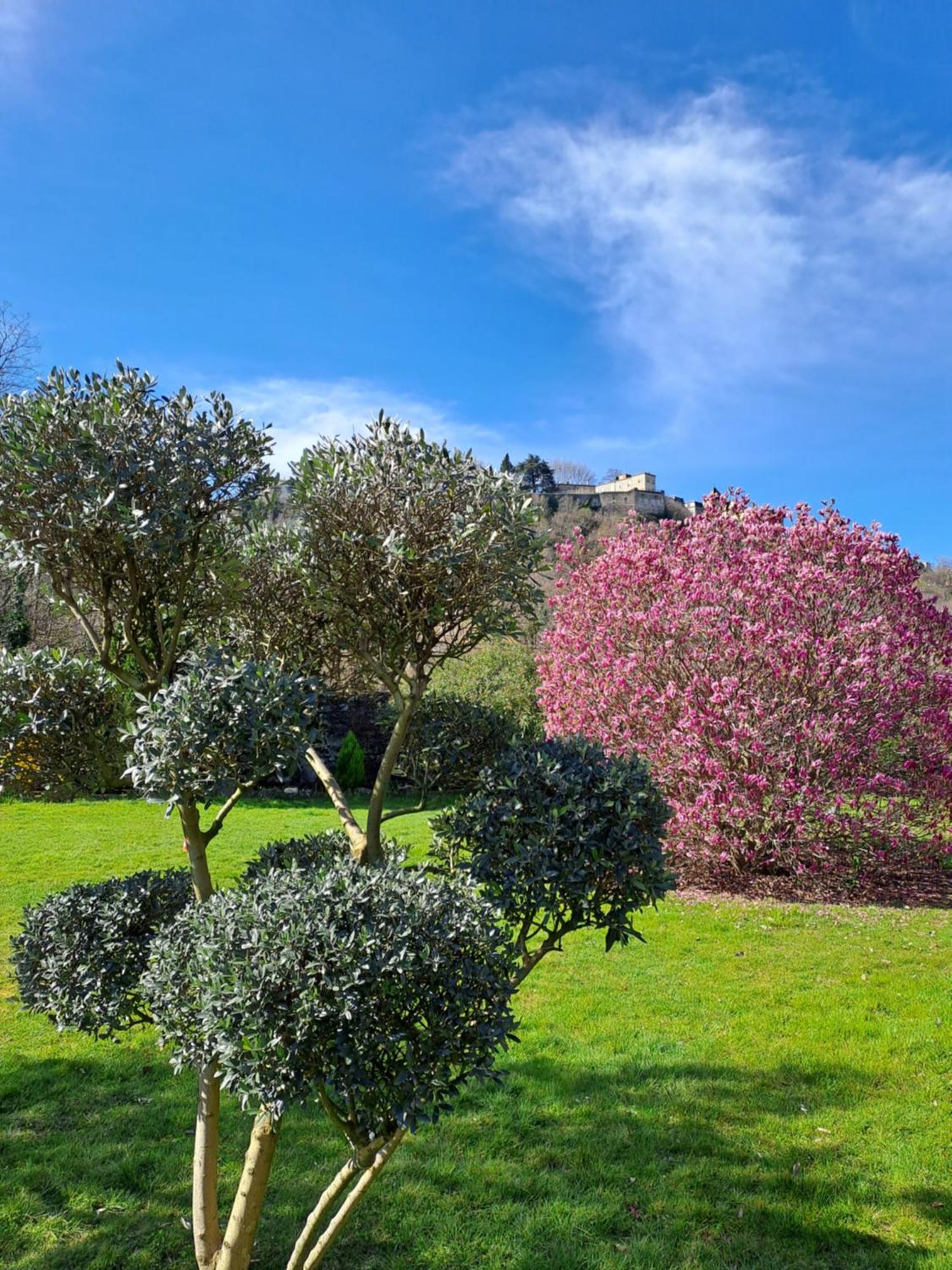 Gite 3 "Le Canal De Baza" Aux Magnolias Aubenas Exterior foto